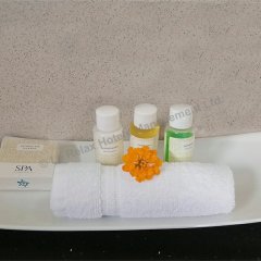 Le Relax Hotel and Restaurant in Mahe Island, Seychelles from 180$, photos, reviews - zenhotels.com bathroom photo 2