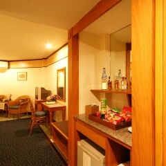 Отель Botany Beach Resort удобства в номере фото 2