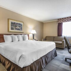 Отель Econo Lodge South Calgary Канада, Калгари - отзывы, цены и фото номеров - забронировать отель Econo Lodge South Calgary онлайн комната для гостей фото 2