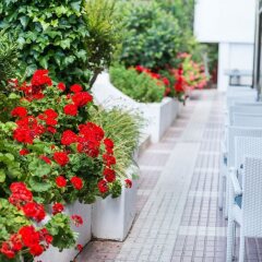 Отель Apartamentos Siesta I фото 7