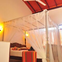 Отель Ypsylon Tourist Resort Шри-Ланка, Берувела - отзывы, цены и фото номеров - забронировать отель Ypsylon Tourist Resort онлайн помещение для мероприятий фото 2