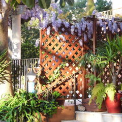 Anis Hotel фото 3