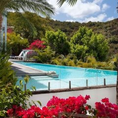 Villa Luz in St. Barthelemy, Saint Barthelemy from 1457$, photos, reviews - zenhotels.com pool