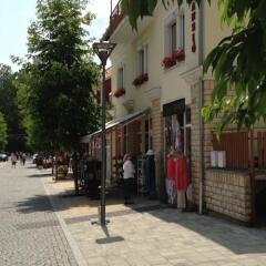 Отель Astoria Hévíz Panzio Cafe Хевиз