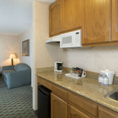 Отель Borrego Springs Resort and Spa в номере