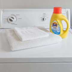 Super 8 by Wyndham Athens TX in Athens, United States of America from 98$, photos, reviews - zenhotels.com room amenities