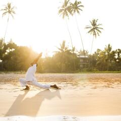 Отель Avani Bentota Resort Шри-Ланка, Бентота - 2 отзыва об отеле, цены и фото номеров - забронировать отель Avani Bentota Resort онлайн приотельная территория