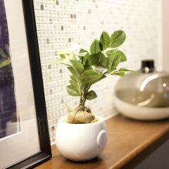 Отель Vicoletto Inn Hakata Sumiyoshi интерьер отеля фото 2