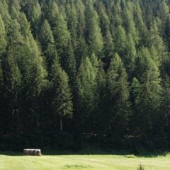 Park Hotel Mater Dei Долина Валь-ди-Фасса спортивное сооружение
