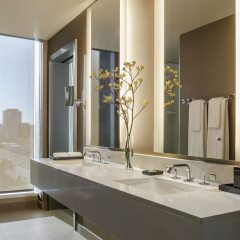 Hyatt Regency Tysons Corner Center in McLean, United States of America from 357$, photos, reviews - zenhotels.com bathroom photo 3