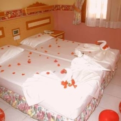 Anik Suite Hotel Alanya Турция, Аланья - отзывы, цены и фото номеров - забронировать отель Anik Suite Hotel Alanya онлайн комната для гостей фото 2