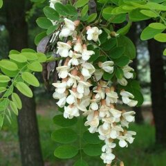 Отель Pozzo Misseo Матера фото 5