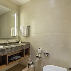 Hilton Garden Inn Izmir Bayrakli Турция, Измир - отзывы, цены и фото номеров - забронировать отель Hilton Garden Inn Izmir Bayrakli онлайн ванная фото 2