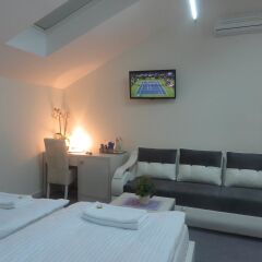 Отель Bed & Breakfast Villa Marija M. L. Сербия, Белград - отзывы, цены и фото номеров - забронировать отель Bed & Breakfast Villa Marija M. L. онлайн комната для гостей фото 2