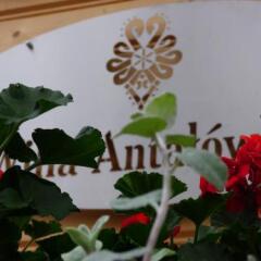 Отель Вилла Antałówka Польша, Закопане - отзывы, цены и фото номеров - забронировать отель Вилла Antałówka онлайн фото 13