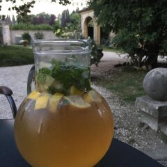 Отель Villa Pastori Италия, Мира - отзывы, цены и фото номеров - забронировать отель Villa Pastori онлайн фото 25