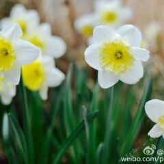 Отель Peking Garden Hotel Китай, Пекин - отзывы, цены и фото номеров - забронировать отель Peking Garden Hotel онлайн фото 5