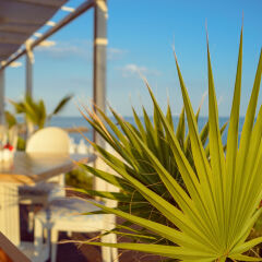 Отель Casa Real Resort Свети Влас пляж