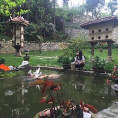 Отель Sapa Garden Bed and Breakfast Вьетнам, Шапа - отзывы, цены и фото номеров - забронировать отель Sapa Garden Bed and Breakfast онлайн приотельная территория фото 2