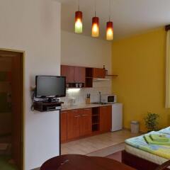 Отель Residence Salvia Либерец в номере фото 2
