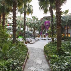 Venus Hotel - All Inclusive фото 6
