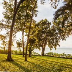 Floral Lux Hotel Monttra Pattaya Паттайя приотельная территория фото 2