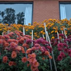 Отель Dhulikhel Mountain Resort Непал, Дхуликхел - отзывы, цены и фото номеров - забронировать отель Dhulikhel Mountain Resort онлайн фото 7