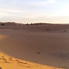 Отель Chez Family Bidouin Merzouga Марокко, Мерзуга - отзывы, цены и фото номеров - забронировать отель Chez Family Bidouin Merzouga онлайн приотельная территория