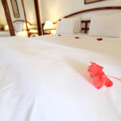 Отель Ha An Hotel Вьетнам, Хойан - отзывы, цены и фото номеров - забронировать отель Ha An Hotel онлайн комната для гостей фото 5