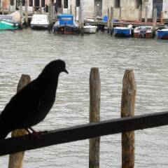 Отель La Felice Canal Grande Италия, Венеция - отзывы, цены и фото номеров - забронировать отель La Felice Canal Grande онлайн приотельная территория