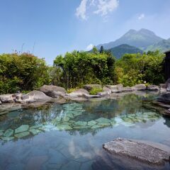 Отель Yufuin Ryokan Baien Хидзи с домашними животными