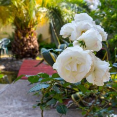 Гостиница Лазурь фото 11