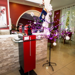 Hotel Parisien развлечения