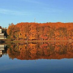 Парк-Отель Швейцария фото 6