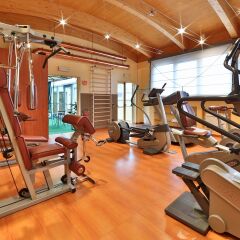 Отель Best Western Antares Hotel Concorde Италия, Милан - - забронировать отель Best Western Antares Hotel Concorde, цены и фото номеров фитнесс-зал