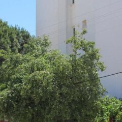 Emin Apart Hotel Турция, Алтинкум - отзывы, цены и фото номеров - забронировать отель Emin Apart Hotel онлайн фото 4