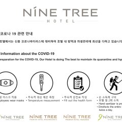 Отель Nine Tree Hotel Myeong-dong Южная Корея, Сеул - отзывы, цены и фото номеров - забронировать отель Nine Tree Hotel Myeong-dong онлайн интерьер отеля фото 3