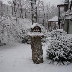 Отель Guest Complex Sosny Светлогорск фото 20