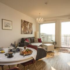 Отель Sky View Apartment Vienna by Welcome2Vienna Австрия, Вена - отзывы, цены и фото номеров - забронировать отель Sky View Apartment Vienna by Welcome2Vienna онлайн комната для гостей фото 5