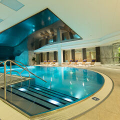 Spa Hotel Thermal Карловы Вары с домашними животными