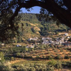 Hotel Sirince Evleri