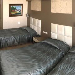 Отель Ayseli Otel комната для гостей фото 4