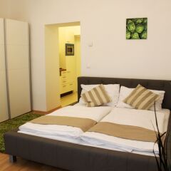 Апартаменты Checkvienna – Apartment Dieselgasse Вена комната для гостей фото 5