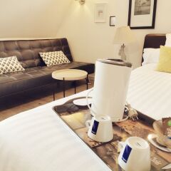 Отель Les Terrasses de Saumur Hotel & Spa Франция, Сомюр - отзывы, цены и фото номеров - забронировать отель Les Terrasses de Saumur Hotel & Spa онлайн комната для гостей фото 2