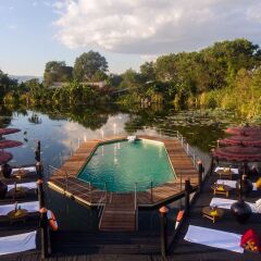 Отель ViewPoint Lodge & Fine Cuisines бассейн