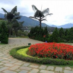 Отель Cosiana Sapa Hotel Вьетнам, Шапа - отзывы, цены и фото номеров - забронировать отель Cosiana Sapa Hotel онлайн фото 6