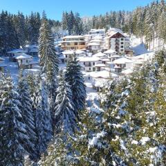 Hotel Forest Glade Чепеларе