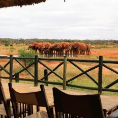 Voi Wildlife Lodge in Tsavo, Kenya from 201$, photos, reviews - zenhotels.com balcony