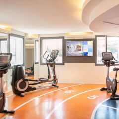 Отель Novotel Lyon Gerland Musée des Confluences фитнесс-зал