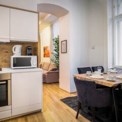 Отель SKY9 Apartment City Center Австрия, Вена - отзывы, цены и фото номеров - забронировать отель SKY9 Apartment City Center онлайн в номере